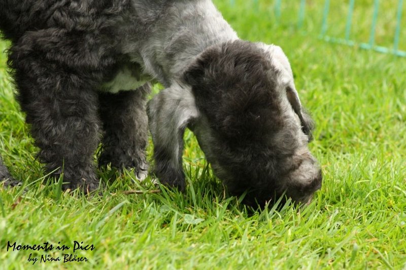 Antares 2009-07-12 (53).JPG